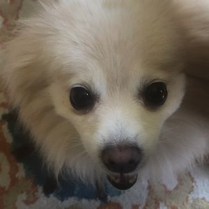 Meet your Posher, Tim